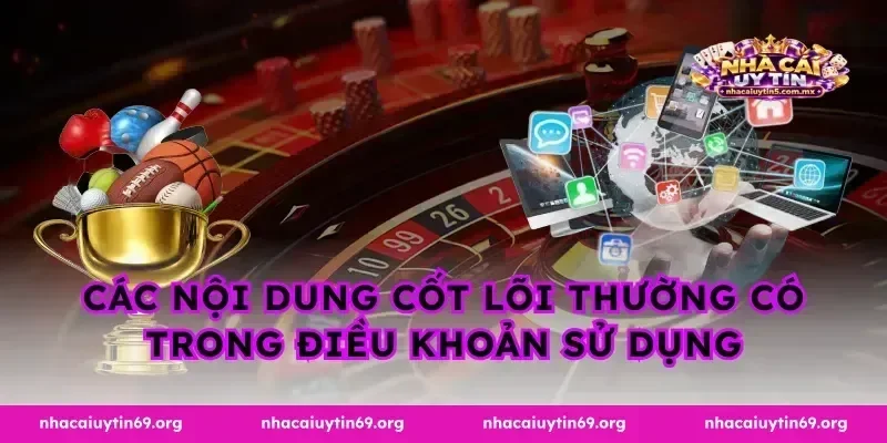 Các nội dung cốt lõi thường có trong điều khoản sử dụng