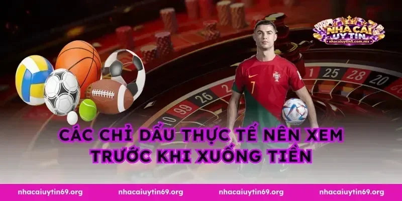 Các chỉ dấu thực tế nên xem trước khi xuống tiền